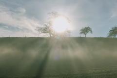 IMG20201115145814-1